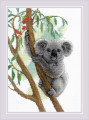 Cute Koala