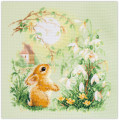 Meadow Stories. Bunny